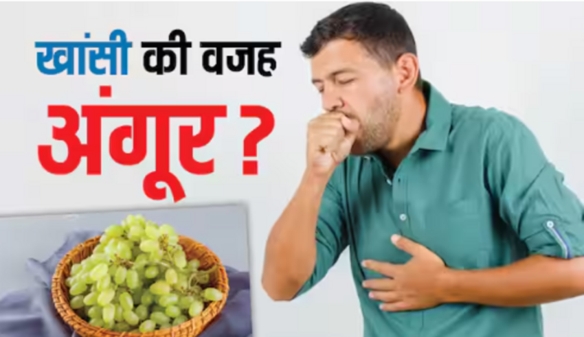 क्या अंगूर इन दिनों खांसी का कारण है? विशेषज्ञों से समस्या का असली कारण जानें।
