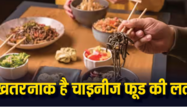 Chinese Food: अगर आपके बच्चे भी फ्रेंच फ्राइज़, चाइनीज़ खाना खाते हैं, तो इससे होने वाले नुकसान के बारे में जानें...