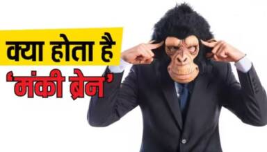 जानें Monkey Brain क्या है और इसे कैसे नियंत्रित करें?